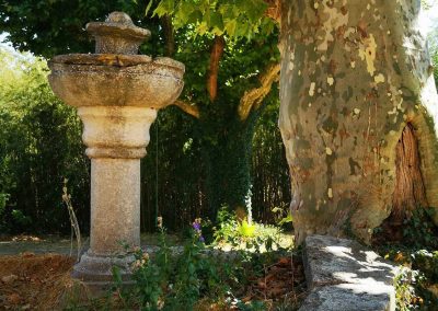 Ancienne fontaine sous le platane