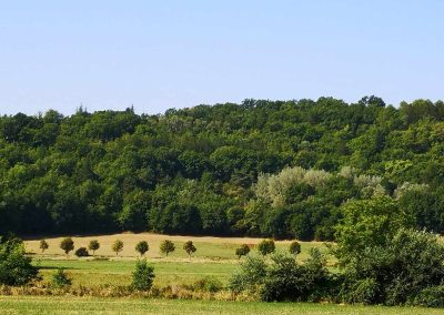 Vue campagne de Forcalquier